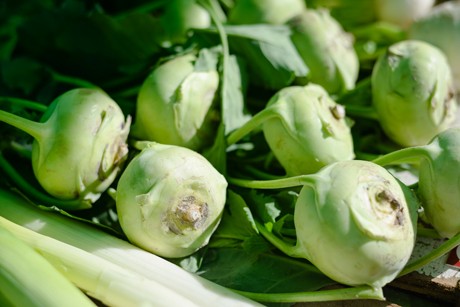 Kohlrabi