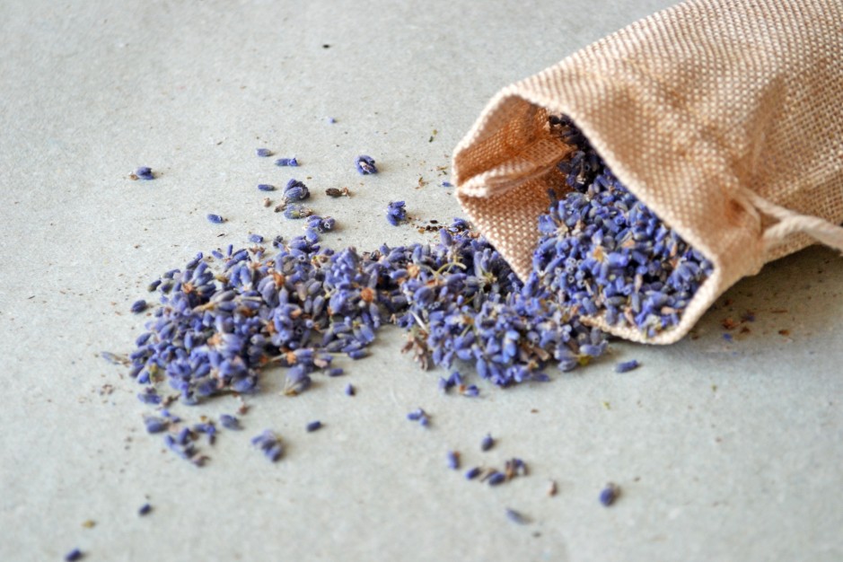 TOP Lavendel Rezepte