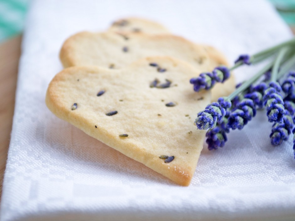 TOP Lavendel Rezepte