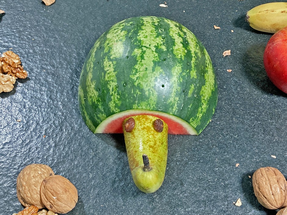Käseigel Korpus vorbereiten