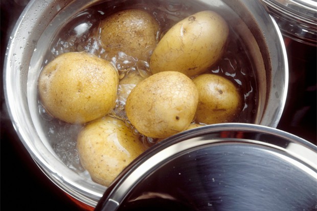 Zutaten für 4 Portionen