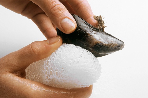 Miesmuscheln waschen 