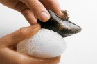 Miesmuscheln waschen 