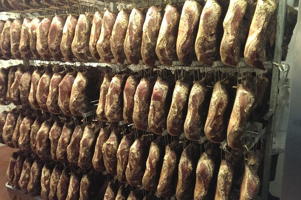 Speck herstellen