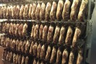 Speck herstellen
