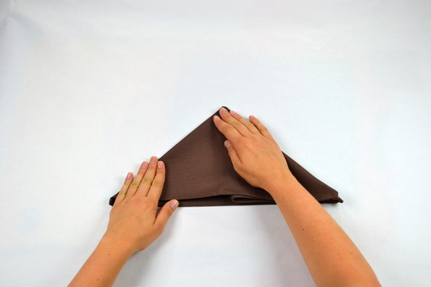 Serviettentechnik - Tafelspitz