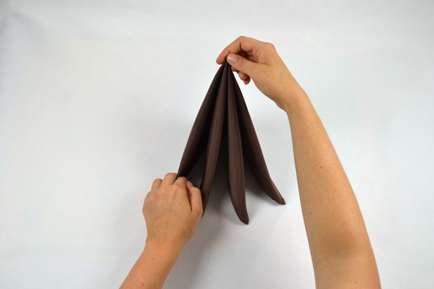 Serviettentechnik - Tafelspitz