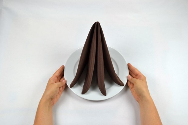 Serviettentechnik - Tafelspitz