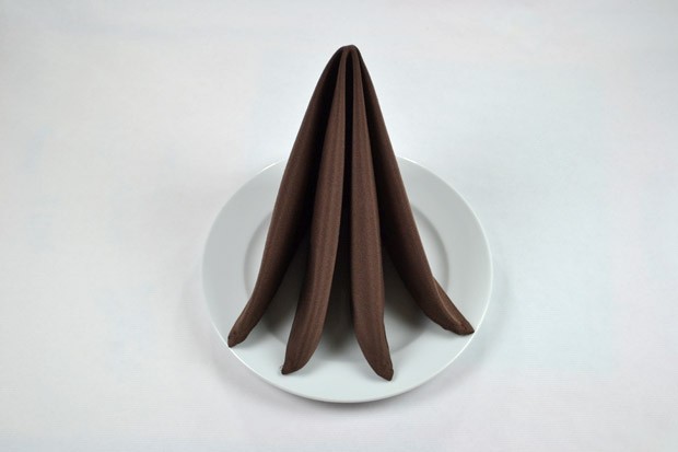 Serviettentechnik - Tafelspitz