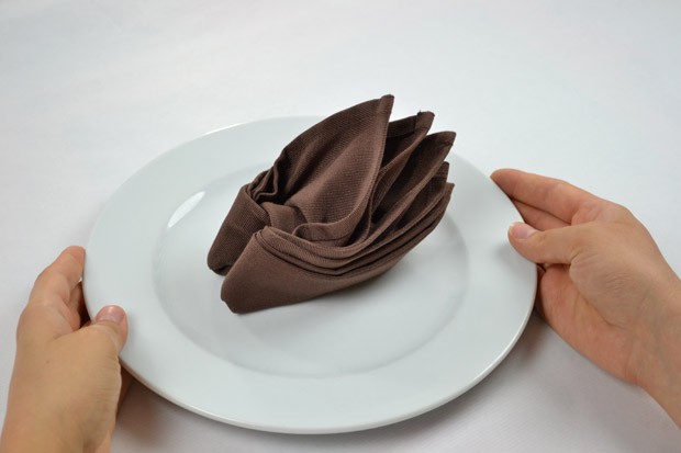 Serviettentechnik Schiff