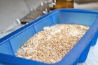 Brot in 30 Minuten