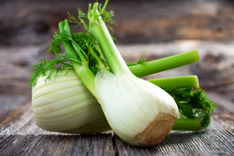 Fenchel Rezepte