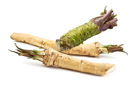 Kren Rezepte