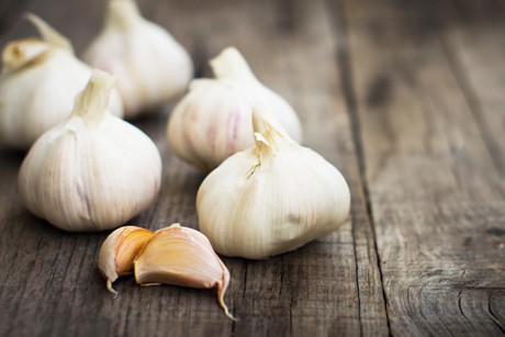 Knoblauch Rezepte