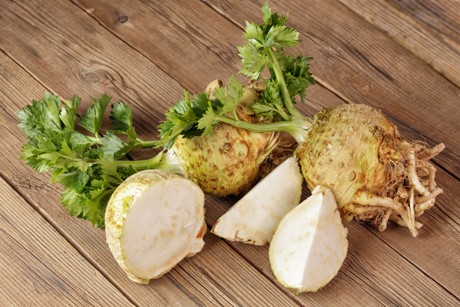 Sellerie Rezepte