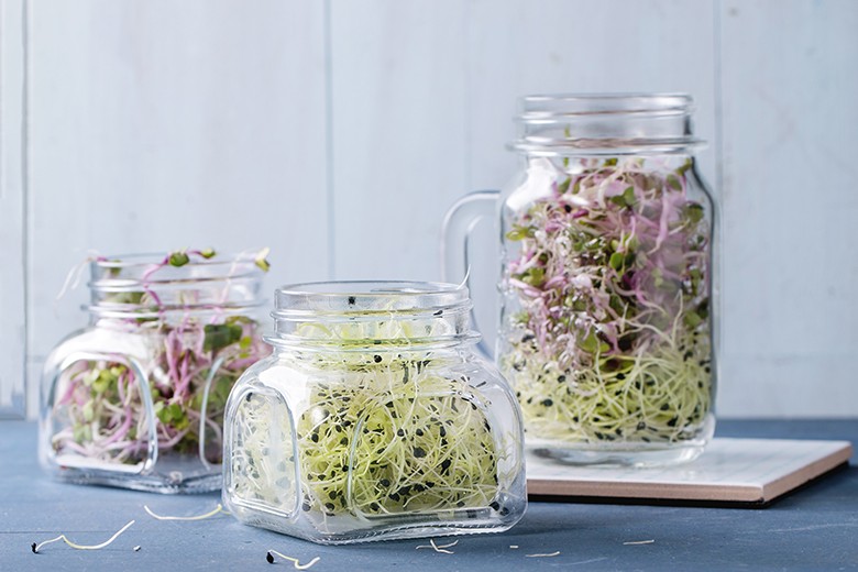 Sprossen Rezepte