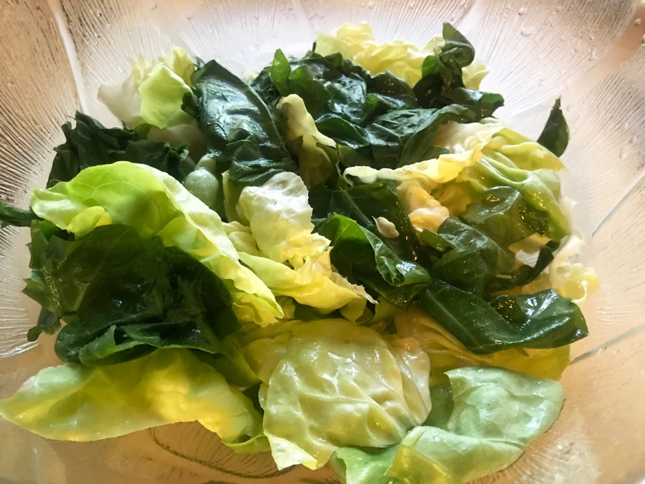Gr&uuml;ner Salat mit L&ouml;wenzahnbl&auml;ttern