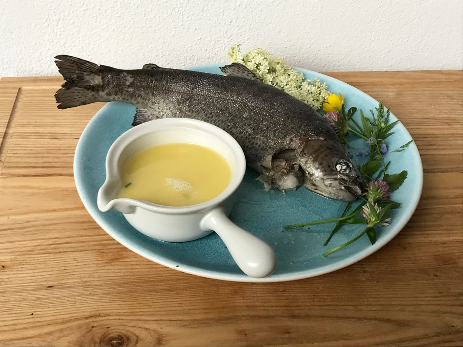 Forelle in Hollerblütensoße
