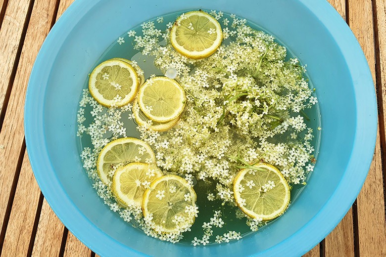 Holunderblütensirup einfach