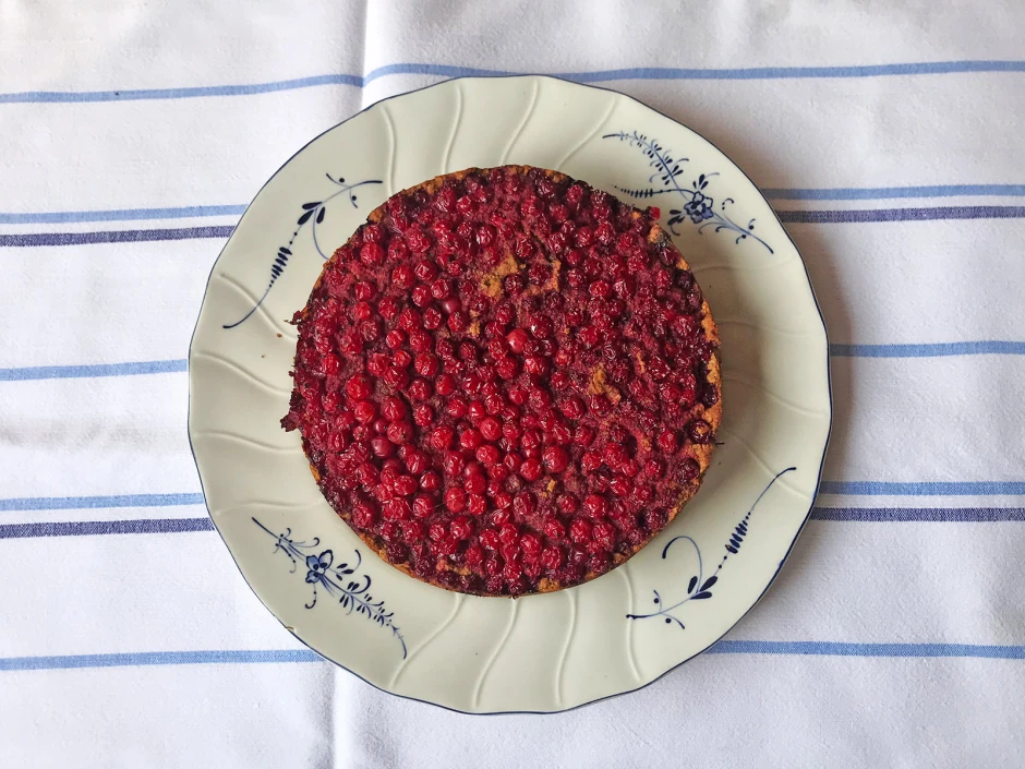 Kokos - Johannisbeer - Kuchen