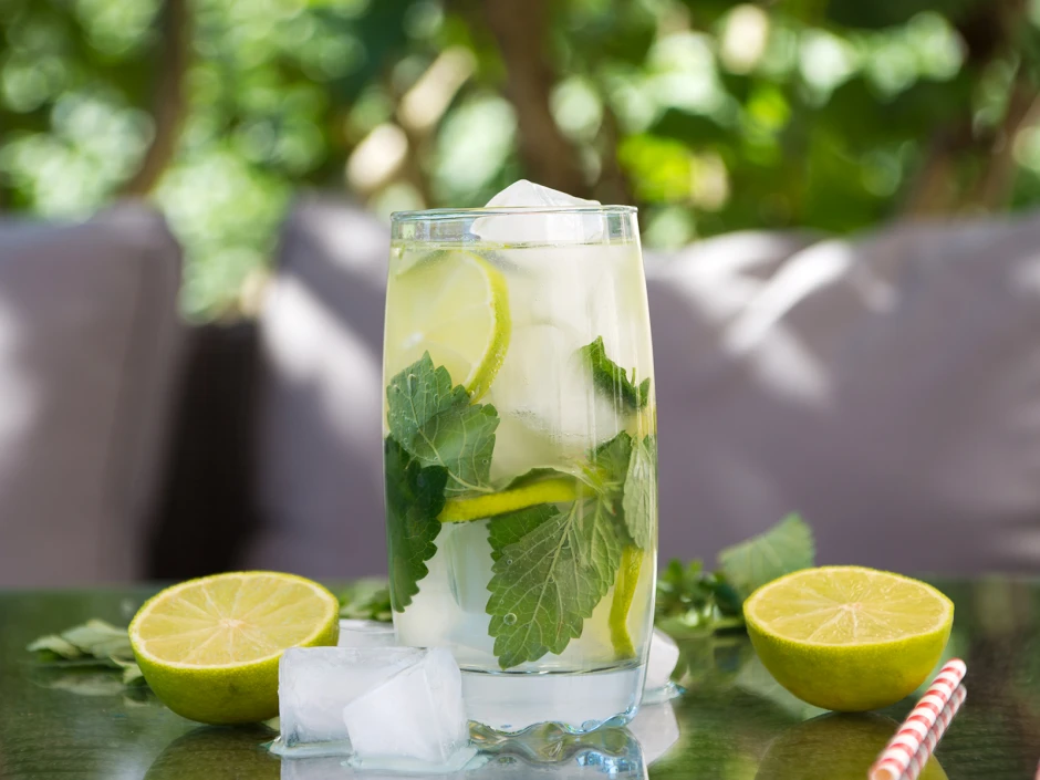 Mojito Klassisch