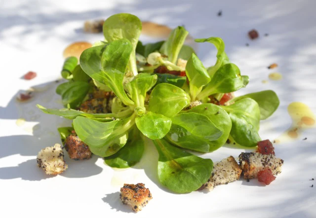 Vogerlsalat mit Mohnwürfeln