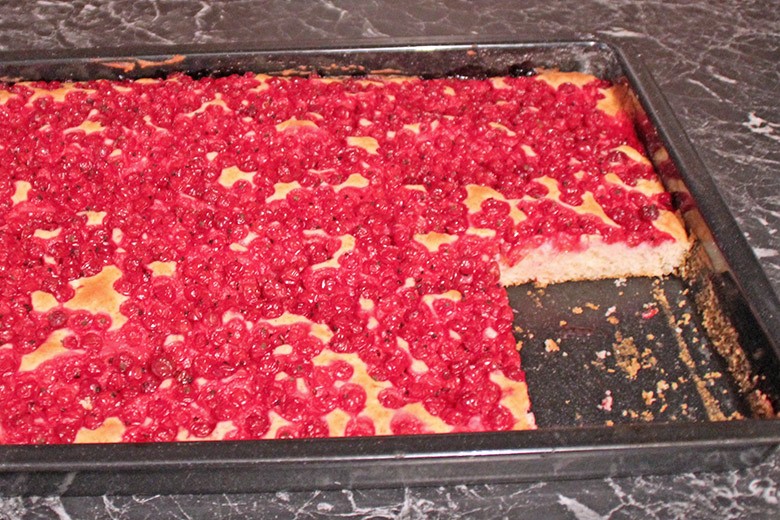 Ribiselkuchen