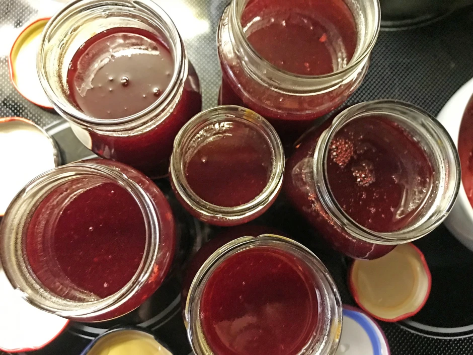 Feine Ribiselmarmelade