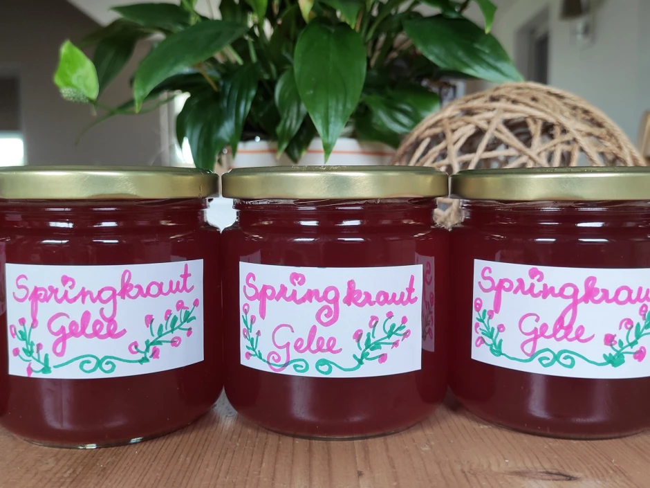 Springkraut Gelee