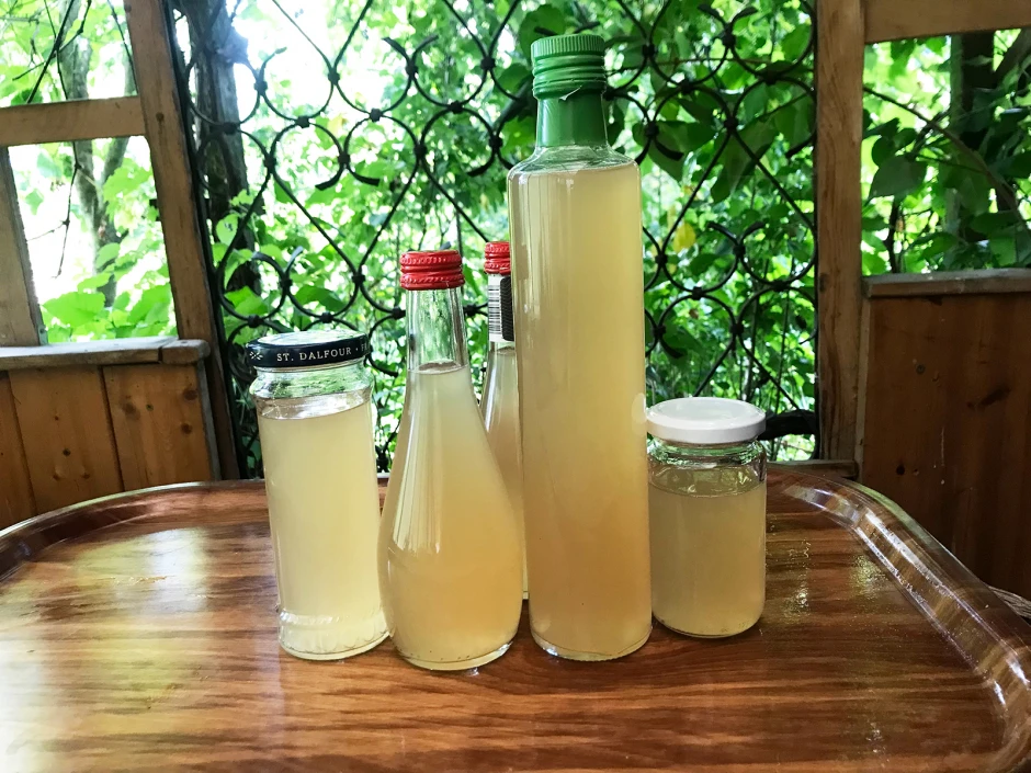 Apfelsirup