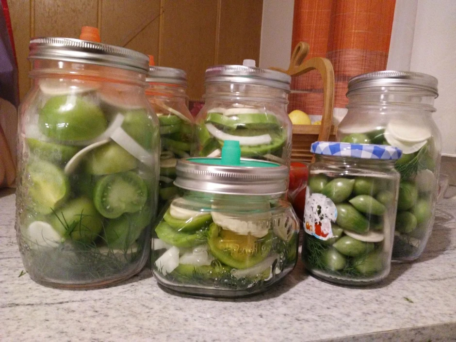 Grüne Tomaten einlegen