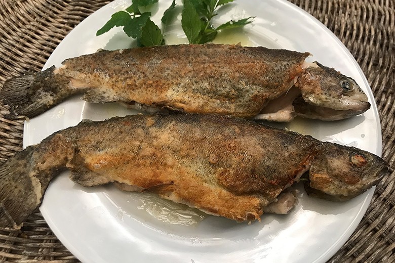 Forelle aus der Pfanne