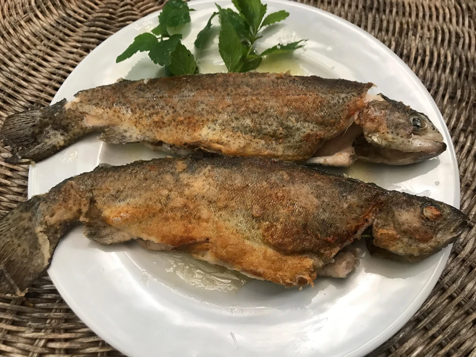 Forelle aus der Pfanne