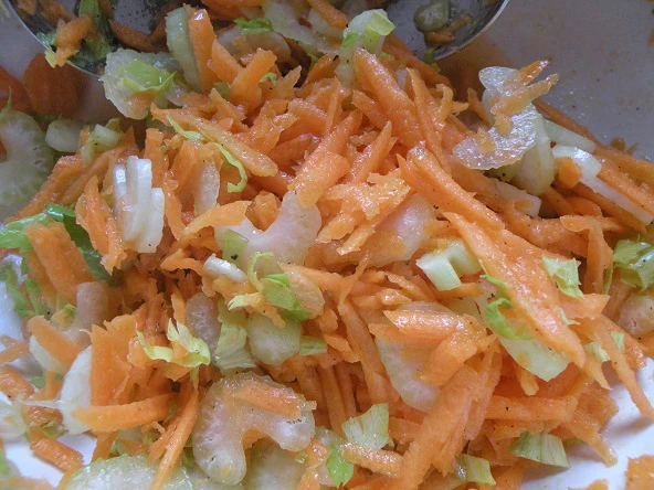Staudensellerie Karottensalat