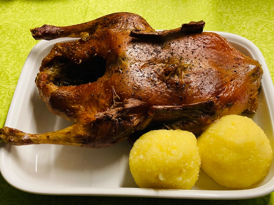 Orangen-Ente