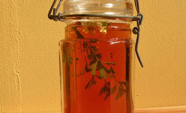 Kr&auml;uteressig