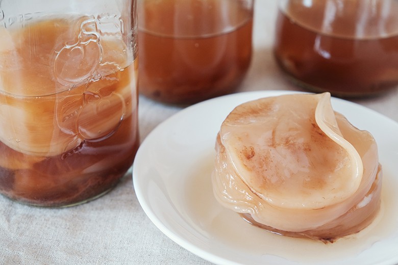 Kombucha Scoby selbst gemacht