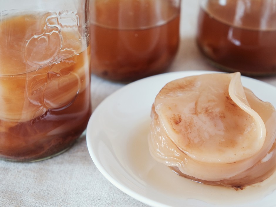Kombucha Scoby selbst gemacht