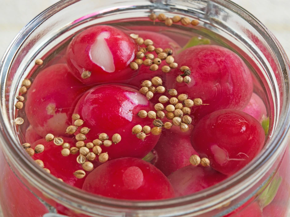 Fermentierte Radieschen