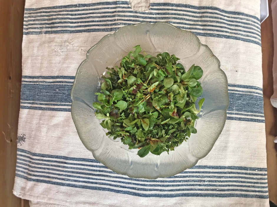 Wildkräutersalat