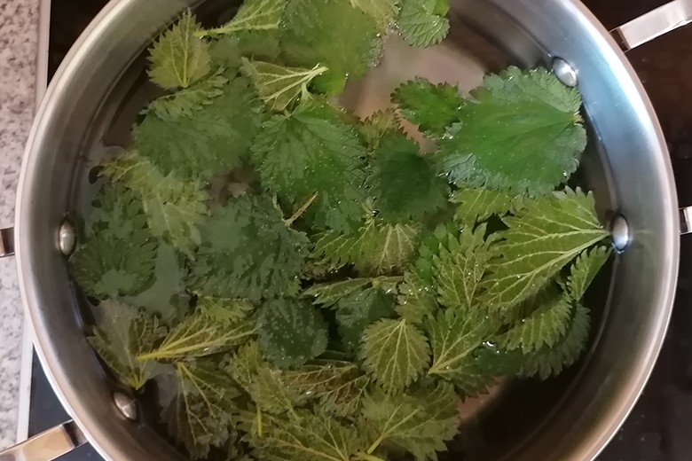 Brennnesselsirup