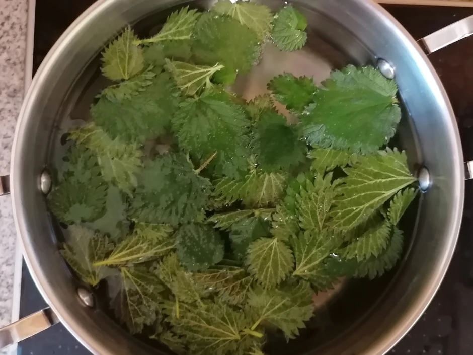 Brennnesselsirup
