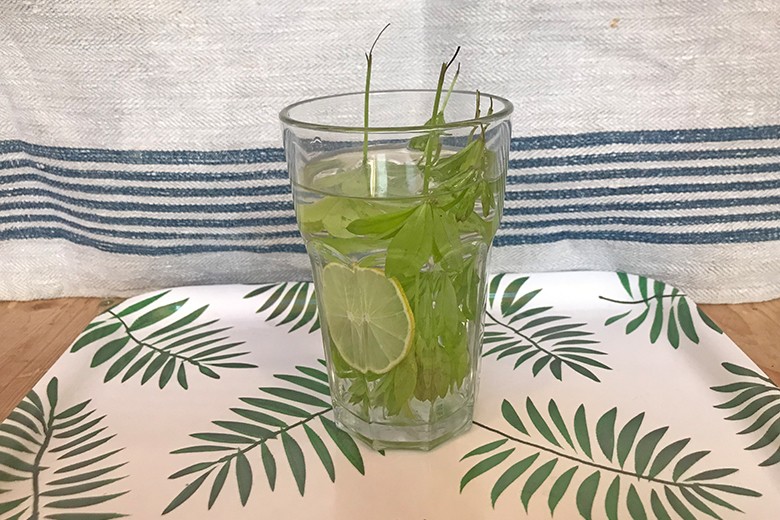 Waldmeisterwasser