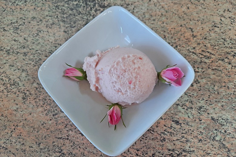 Rosen Joghurt Sorbet