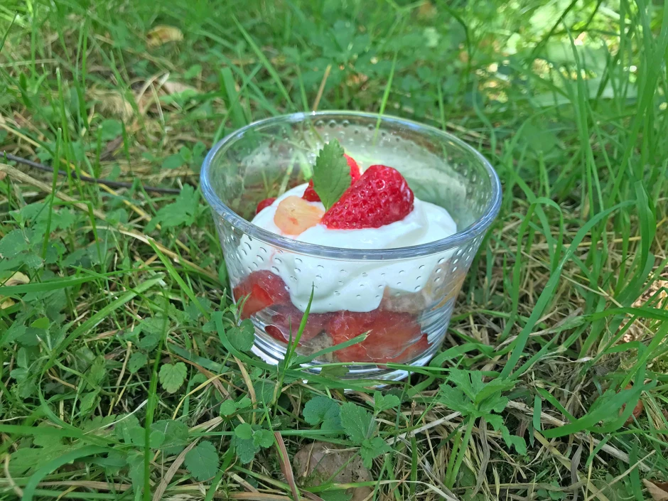 Schichtdessert Erdbeer-Zitrone