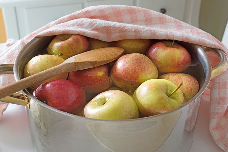Äpfel fermentieren