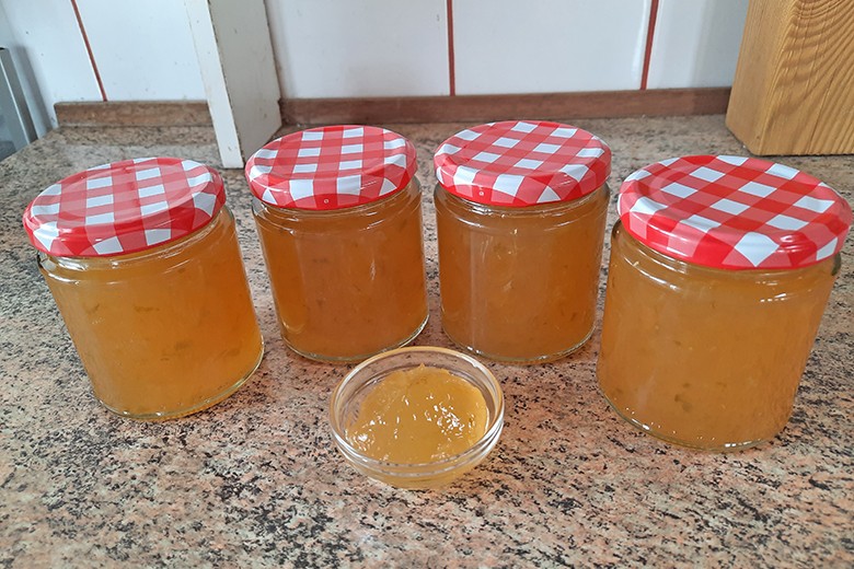 Zitronen-Limetten-Gelee mit Schalen- und Fruchtanteil