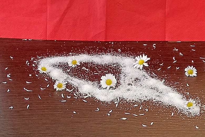 Gänseblümchenzucker