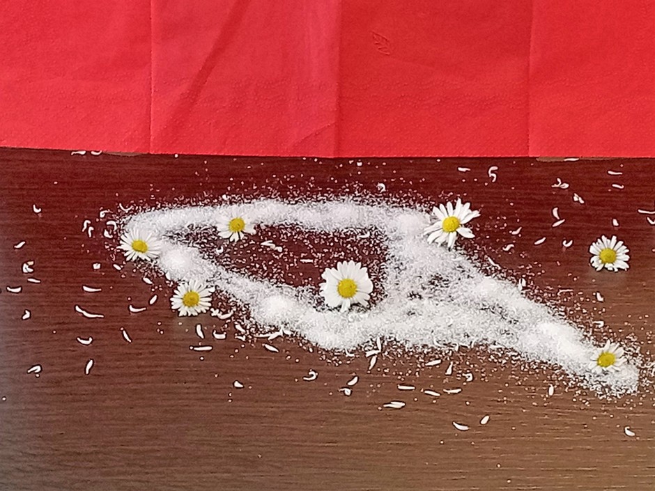 Gänseblümchenzucker