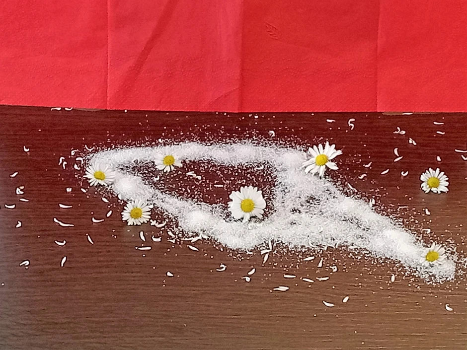 G&auml;nsebl&uuml;mchenzucker